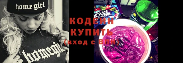 мдпв Дедовск