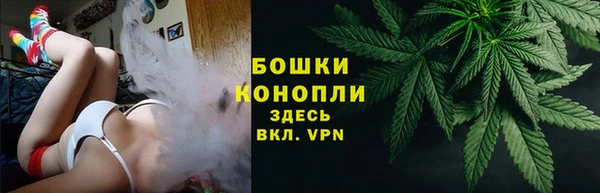 мдпв Дедовск