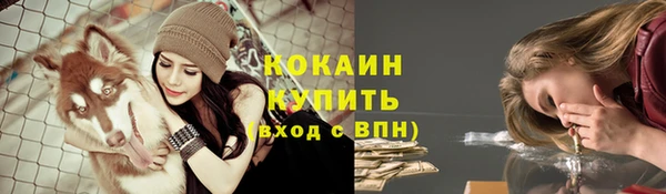 мет Дегтярск