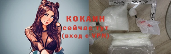 мдпв Дедовск