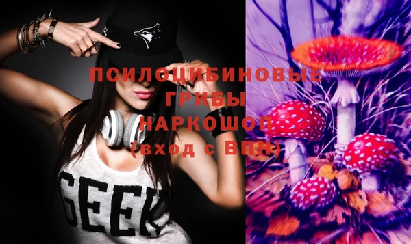мдпв Дедовск