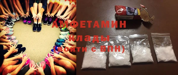 мдпв Дедовск